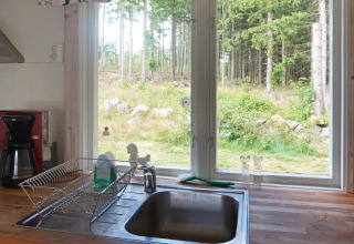 Kitchen sink, dish rack, coffee maker and forest view through window at 4 person holiday home in Smedstorp, Sweden.