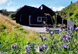 Vakantiehuis in Blokhus, Denemarken, zwart geverfd met paarse wilde bloemen op de voorgrond bij zonnig weer.