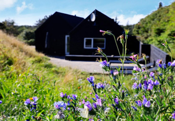 Casa vacanze a Blokhus, Danimarca, dipinta di nero con fiori selvatici viola in primo piano in una giornata di sole.