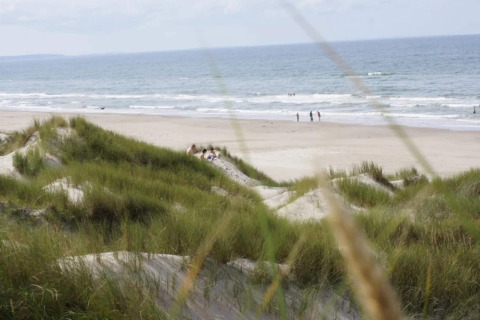 Blick auf einen Strand mit grasbewachsenen Dünen und dem Meer im Hintergrund, nahe einer Lodge.