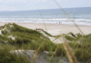 Blick auf einen Strand mit grasbewachsenen Dünen und dem Meer im Hintergrund, nahe einer Lodge.