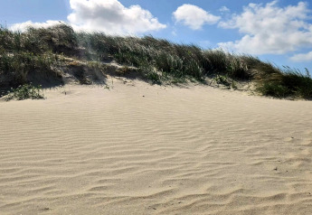 Dune de sable ensoleillée avec herbes ondulantes et ciel bleu, prise près d’un lodge par beau temps.