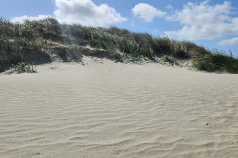 Sanddüne mit Gras unter blauem Himmel und Wolken, aufgenommen bei einer Lodge an einem sonnigen Tag.