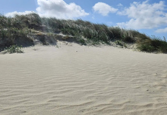 Zonnige zandduin met wuivend gras en blauwe lucht, foto genomen bij een lodge op een heldere dag.