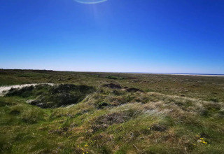 Blick auf eine weite grasbewachsene Landschaft unter klarem Himmel, aufgenommen von einer Lodge.