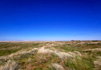 Udsigt over et bakket græsland med klare blå himmel taget fra en lodge på en solrig dag.