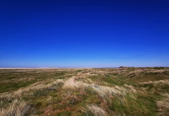 Weite Ansicht einer grasbewachsenen Landschaft unter klarem, blauem Himmel, gesehen von einer Lodge.