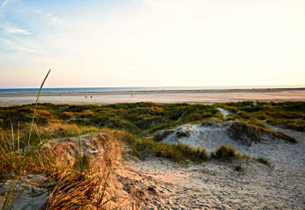 Smukt billede af sandklitter og strand ved havet set fra en lodge i solnedgangens bløde lys.