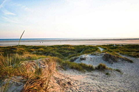 Schönes Foto von Sanddünen und weitem Strand mit Blick auf das Meer, aufgenommen bei einer Lodge.