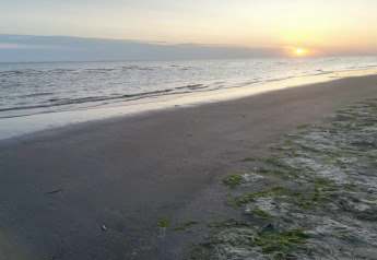 Plage paisible au coucher du soleil près d'un lodge, vagues calmes et rivage éclairé par la lumière dorée.