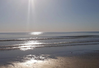 Zonlicht weerkaatst op de rustige zee bij het strand, gezien vanuit een lodge onder een blauwe lucht.
