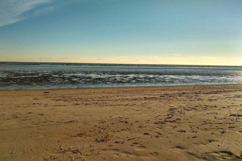 Foto di una spiaggia serena con bassa marea scattata da un lodge, con sabbia e mare tranquillo.