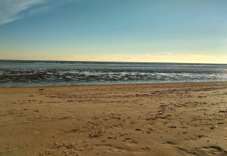 Foto eines ruhigen Strandes bei Ebbe, aufgenommen von einer Lodge, mit weichem Sand und ruhigem Meer.