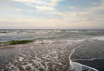 Vue sur l’océan depuis un lodge, avec de douces vagues sur la plage et un ciel partiellement nuageux.