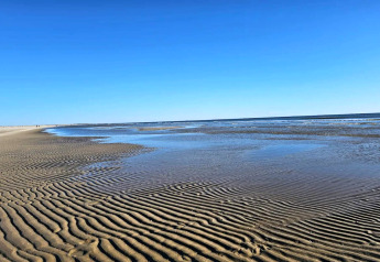 Smuk udsigt over stranden ved lavvande ved en lodge, med sandbølger og klart blåt himmel i baggrunden.