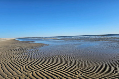 Wunderschöner Blick auf den Strand bei Ebbe an einer Lodge, mit Sandrillen und klarem blauen Himmel.