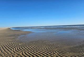 Splendida vista sulla spiaggia con bassa marea presso una lodge, sabbia ondulata e cielo blu sereno.