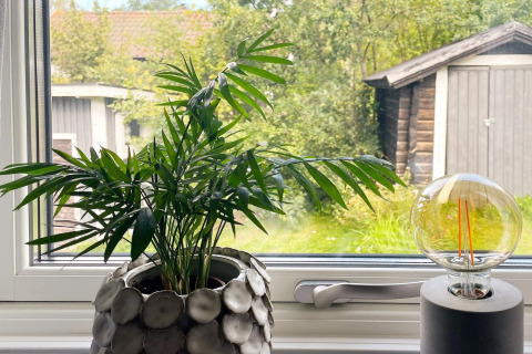 Grüne Zimmerpflanze und moderne Glühbirnenlampe auf Fensterbank mit Gartenblick in Gränna, Schweden.