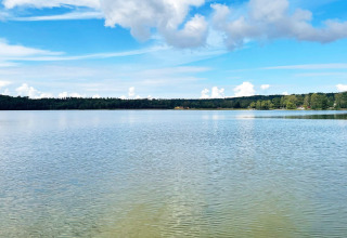 Vista tranquilla su un lago con alberi e nuvole all’orizzonte presso una casa vacanze a Gränna, Svezia.
