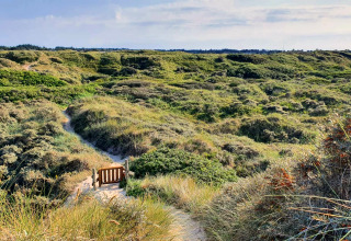 Udsigt over en sandsti gennem grønne klitter, fotograferet fra et glampingsted under blå himmel.