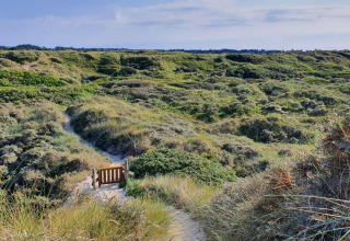 Blick auf einen Sandweg durch grüne Dünenlandschaft, aufgenommen von einer Glamping-Unterkunft aus.