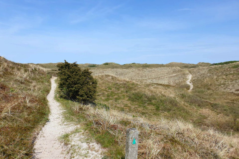 Sti gennem klitlandskab under blå himmel nær Bindslev, Danmark, set fra feriehusets område.