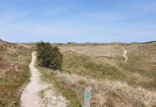 Sti gennem klitlandskab under blå himmel nær Bindslev, Danmark, set fra feriehusets område.