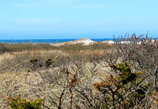 Udsigt fra feriehus i Bindslev, Danmark, med klitter, buske og havet i baggrunden under blå himmel.