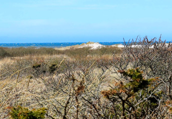 Udsigt fra feriehus i Bindslev, Danmark, med klitter, buske og havet i baggrunden under blå himmel.