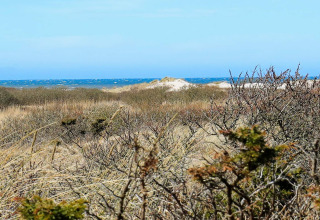 Blick von einem Ferienhaus in Bindslev, Dänemark, auf Dünen, Sträucher und das Meer bei klarem Himmel.