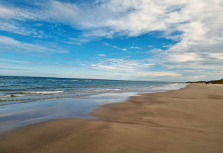Foto eines ruhigen Strandes mit blauem Himmel und Meer, aufgenommen bei einer Glamping-Unterkunft am Meer.