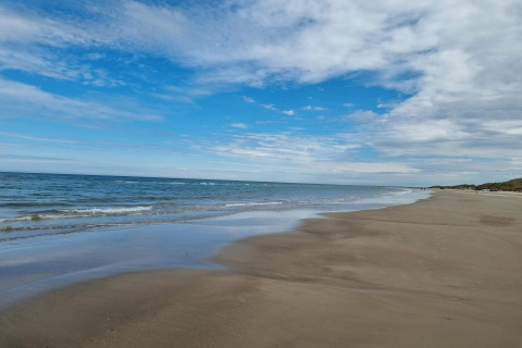 Billede af en fredelig strand med blå himmel og hav, taget fra en glamping indkvartering ved kysten.