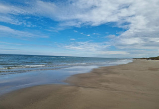 Billede af en fredelig strand med blå himmel og hav, taget fra en glamping indkvartering ved kysten.