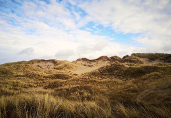Dune di sabbia ricoperte di erba sotto un cielo parzialmente nuvoloso in un alloggio glamping.