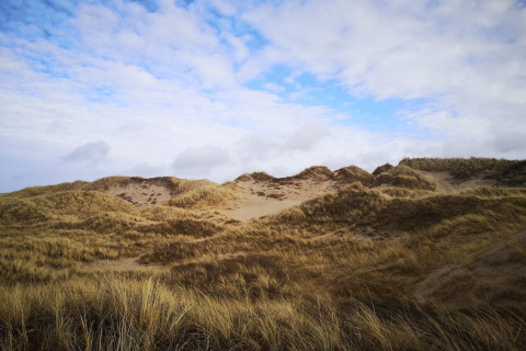 Sanfte Sanddünen mit Dünengras unter bewölktem Himmel an einer Glamping-Unterkunft am Tag.