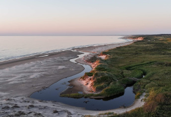 Blick auf einen Sandstrand mit einer geschwungenen Flussmündung und grüner Natur bei einer Glamping-Unterkunft.