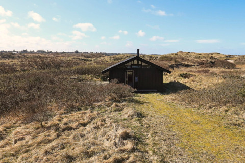 Vier-Personen-Ferienhaus in Bindslev, umgeben von Dünen und Pflanzen unter blauem Himmel.