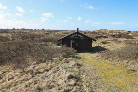 Vier-Personen-Ferienhaus in Bindslev, umgeben von Dünen und Pflanzen unter blauem Himmel.