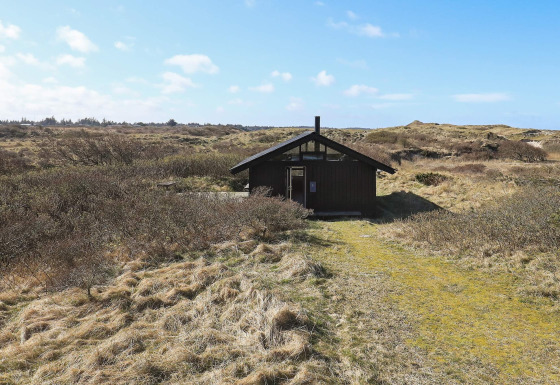 Vier-Personen-Ferienhaus in Bindslev, umgeben von Dünen und Pflanzen unter blauem Himmel.