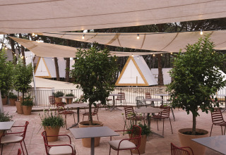 Terraza con mesas, sillas rojas, plantas y tipis en Wecamp Cala Montgó, un parque vacacional en Cataluña, España.
