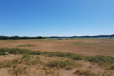 Beeld van een dor grasveld met struiken bij een lodge, blauwe lucht en meer op de achtergrond.