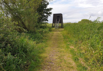 Een grasachtig pad leidt naar een uitkijkhut te midden van groen en hoog gras onder een bewolkte lucht.