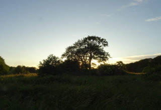 Zonsondergang achter bomen en grasveld bij een lodge, rustige sfeer met heldere lucht erboven.