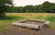 Foyer de camp avec de gros rondins en guise de bancs dans une clairière, entouré d’herbe et d’arbres.