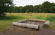 Vuurplek met houten boomstammen om op te zitten in een open grasveld, omgeven door een bos.