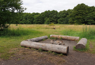 Kampvuurplek met grote boomstammen als zitplaatsen op een open grasveld, omringd door bomen.