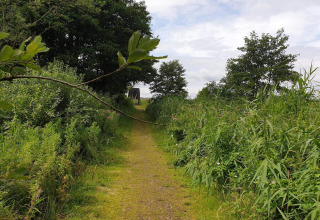 Een groen pad omgeven door hoge planten leidt naar een lodge in de verte onder een bewolkte lucht.