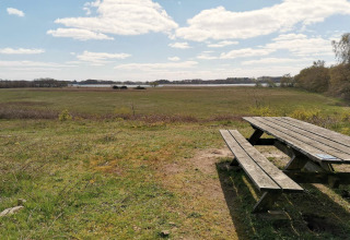 Photo d’un banc et d’une table en bois près d’un lodge avec vue sur un champ et des arbres sous ciel bleu.