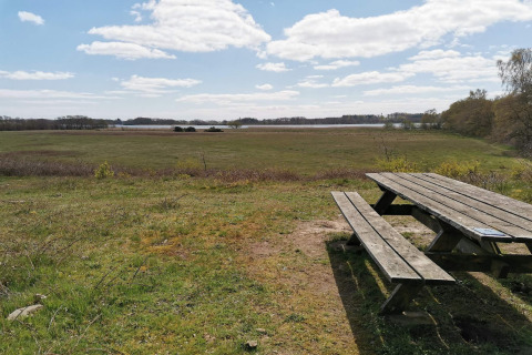 Photo d’un banc et d’une table en bois près d’un lodge avec vue sur un champ et des arbres sous ciel bleu.