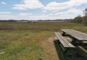 Foto van een houten bank en tafel aan een lodge met zicht op grasveld en bomen onder een blauwe lucht.